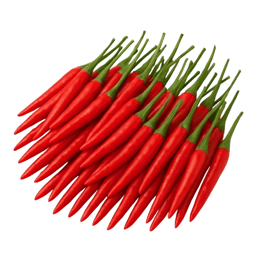 RED CHILI PADI (MERAH)