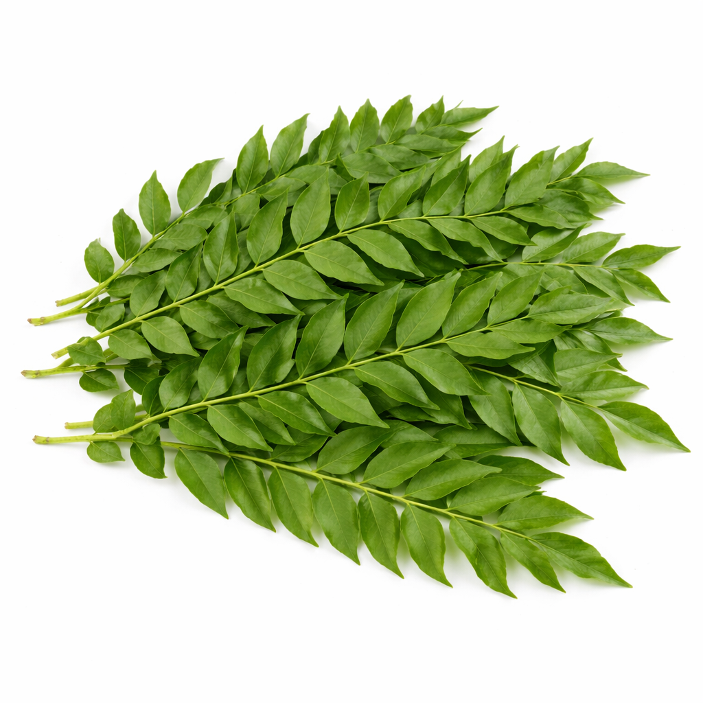 CURRY LEAVES (DAUN KARI)