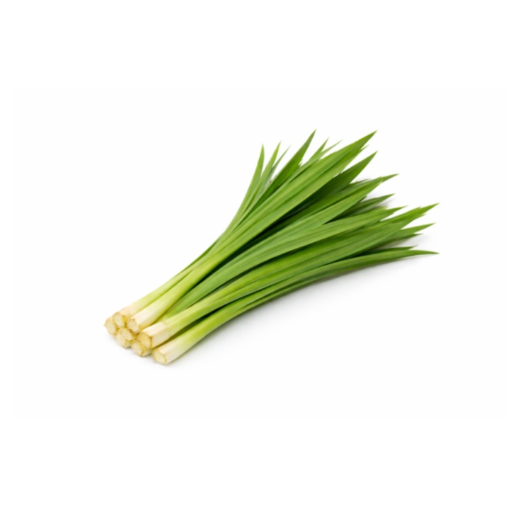 PANDAN LEAVES (DAUN PANDAN)