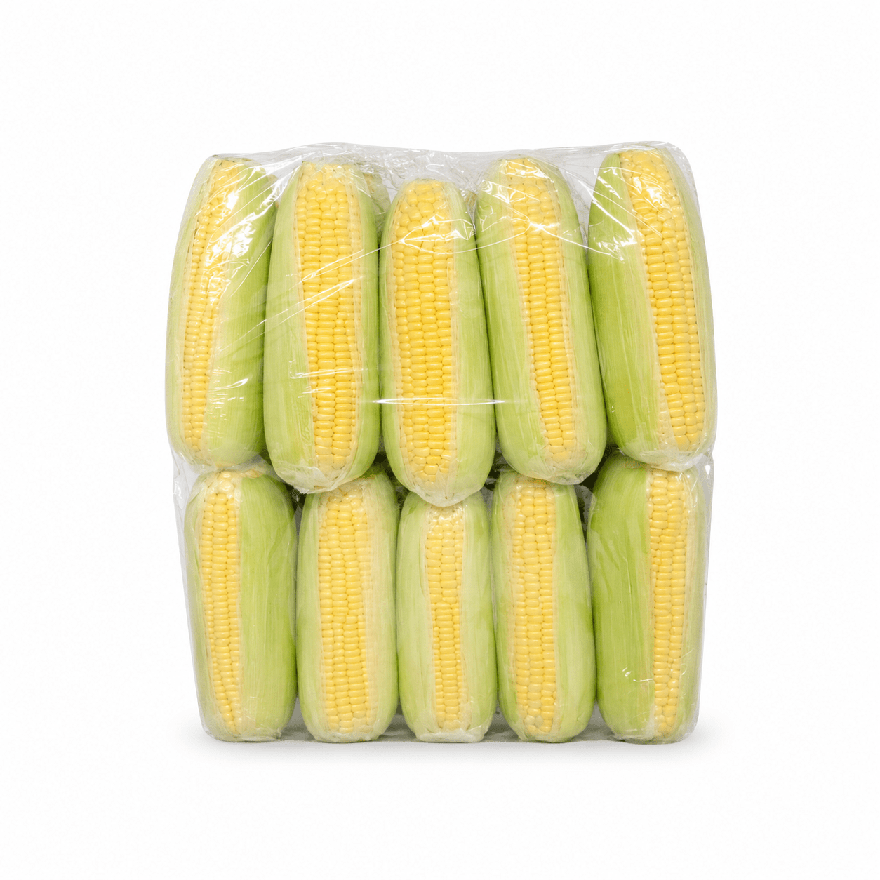 JAGUNG MANIS